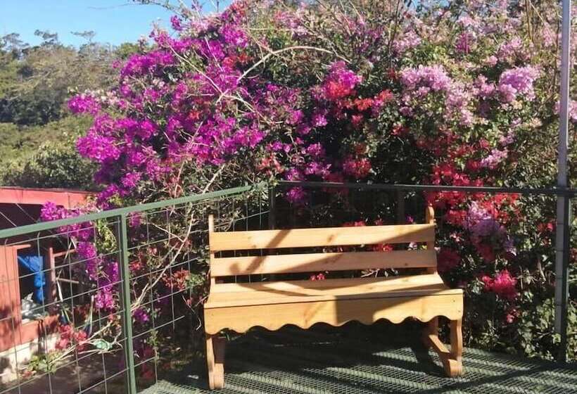 Pensión Y Cabinas Colibrí B&b Costa Rica