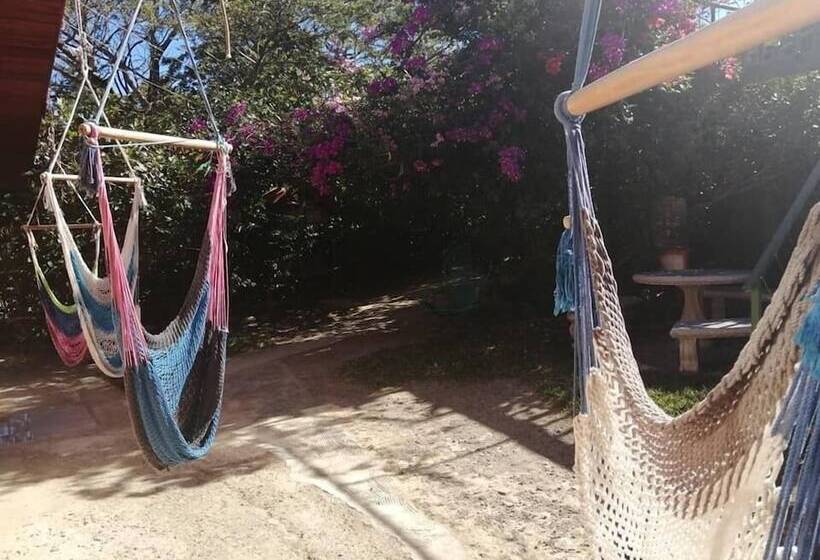 Pensión Y Cabinas Colibrí B&b Costa Rica