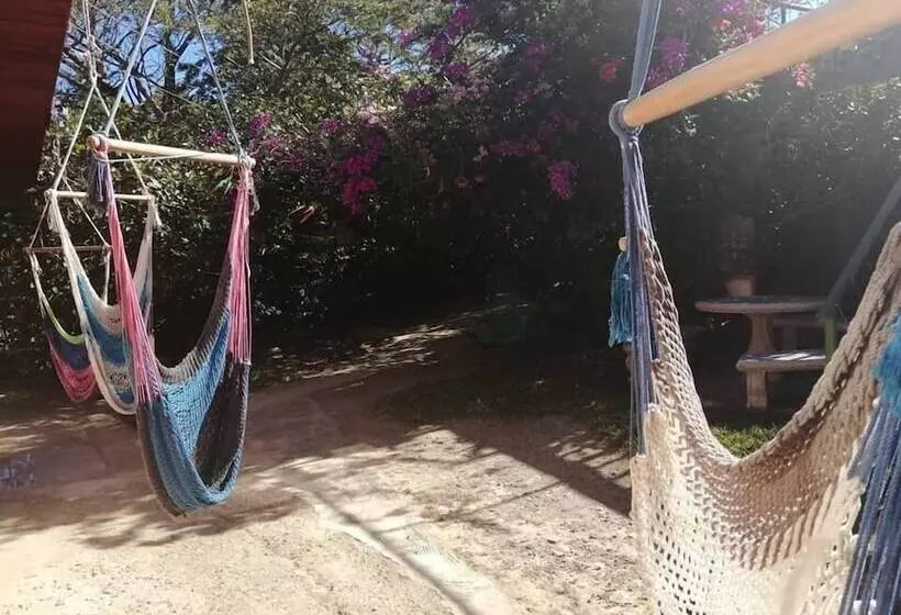 Pensión Y Cabinas Colibrí B&b Costa Rica