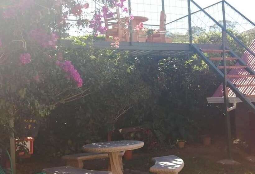 Pensión Y Cabinas Colibrí B&b Costa Rica