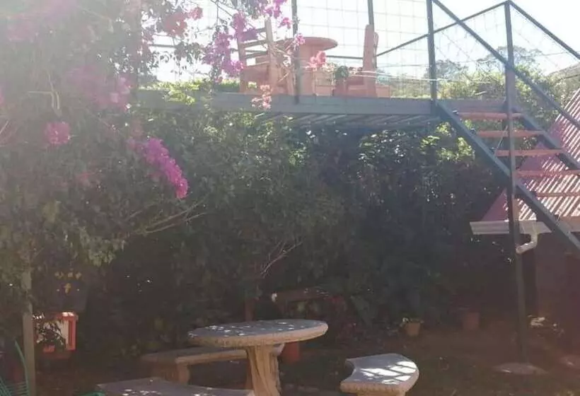 Pensión Y Cabinas Colibrí B&b Costa Rica