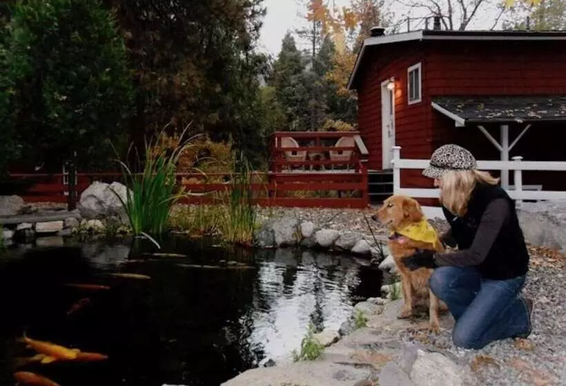 Retkeilymaja Silver Pines Lodge