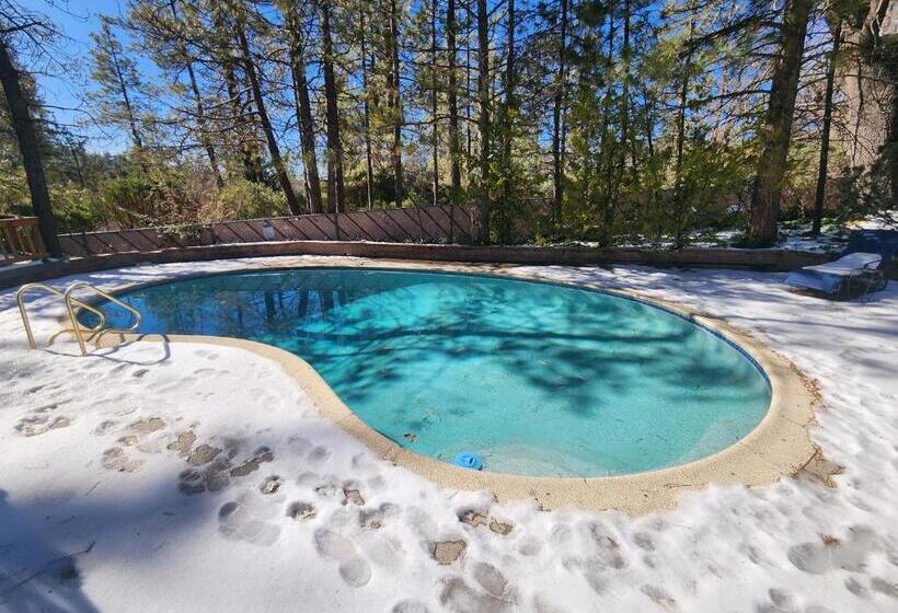 هاستل Silver Pines Lodge