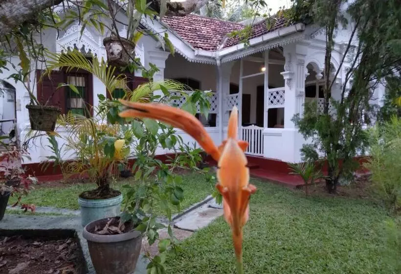 ペンション Grand Villa Hikkaduwa