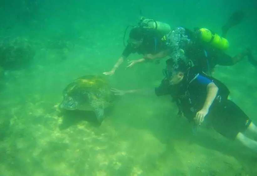 ペンション Grand Villa Hikkaduwa