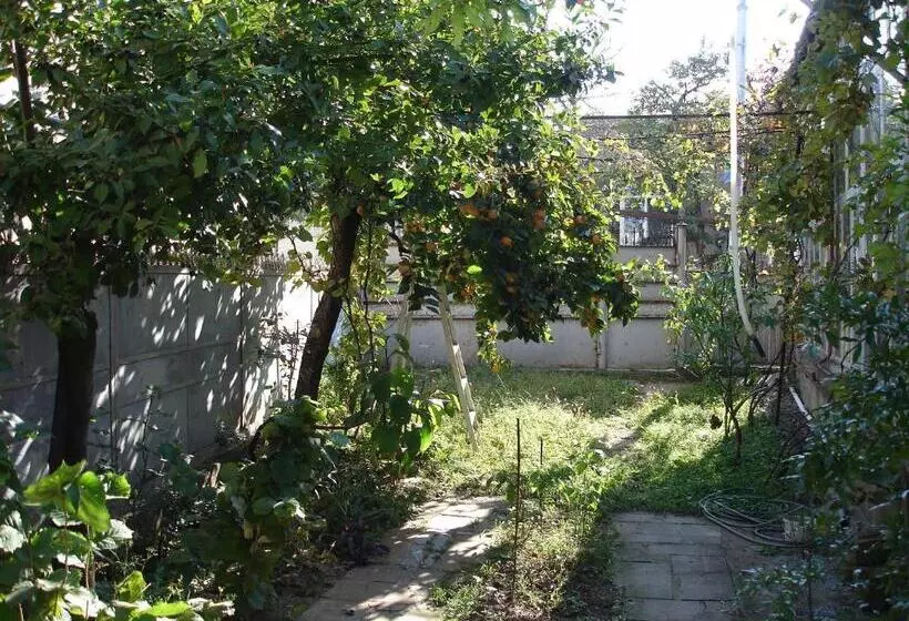 پانسیون Guest House Deda Lali