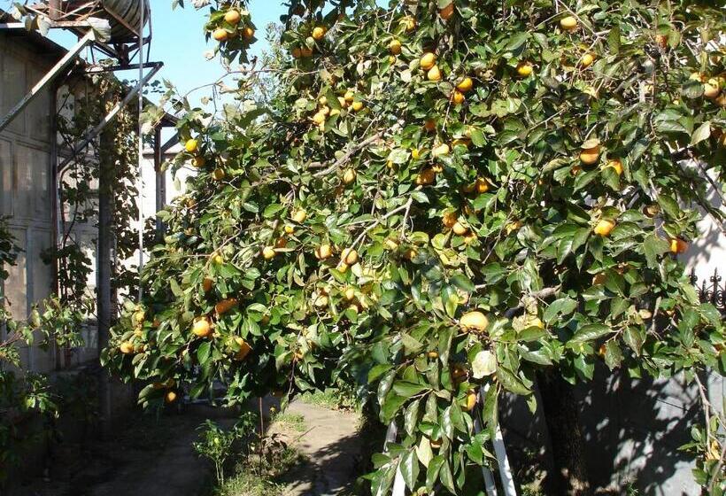 پانسیون Guest House Deda Lali