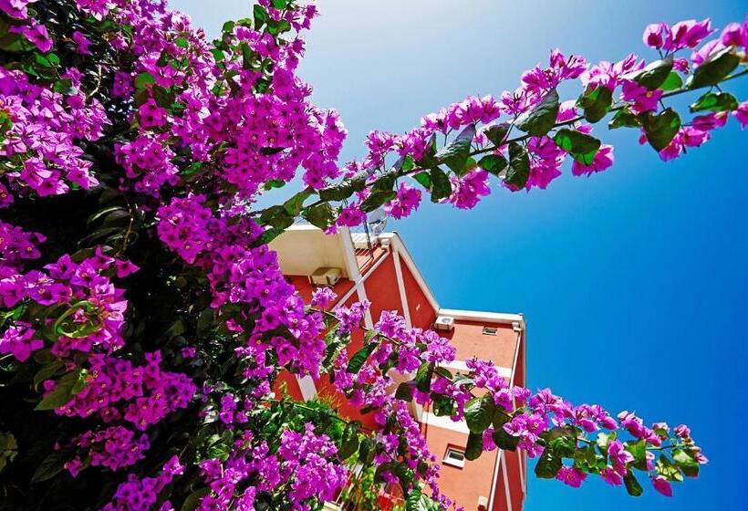 پانسیون Villa Bojana