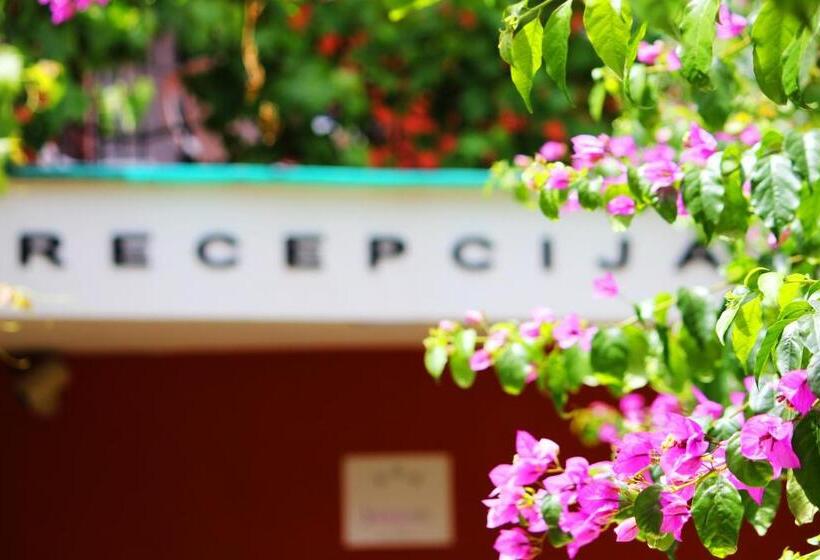 پانسیون Villa Bojana