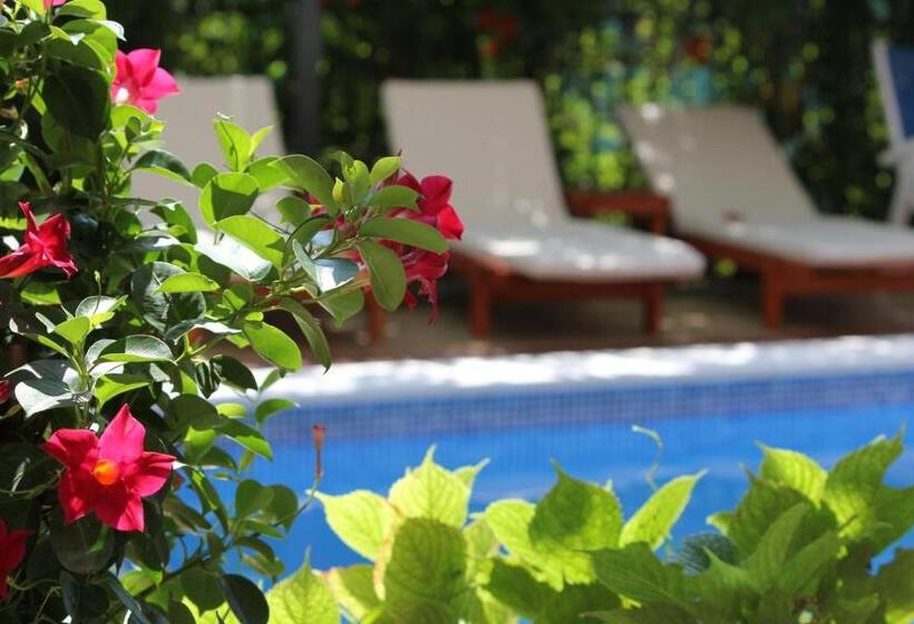 پانسیون Villa Bojana