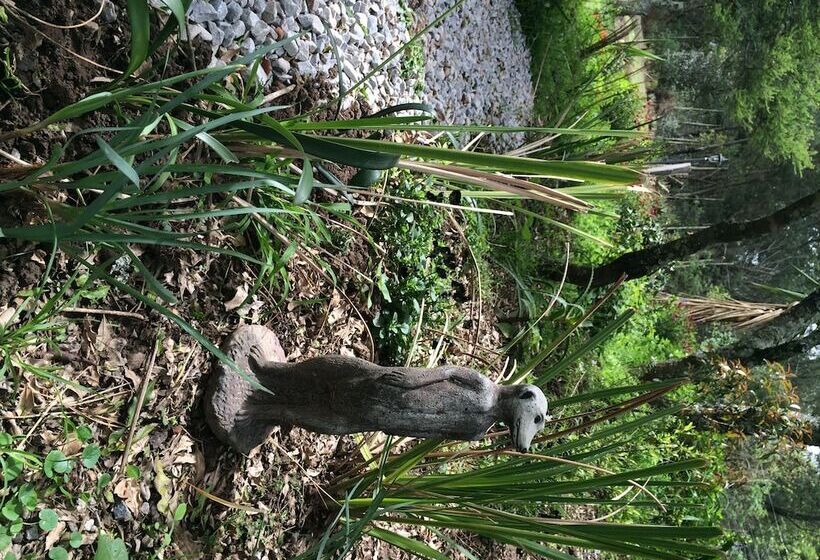 Bed and Breakfast A Stone S Throw Accommodation