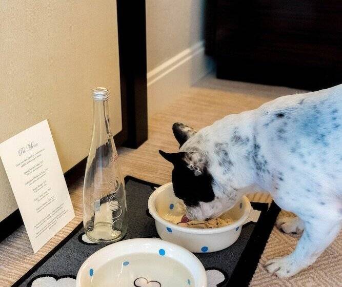 فندق The Peninsula Chicago