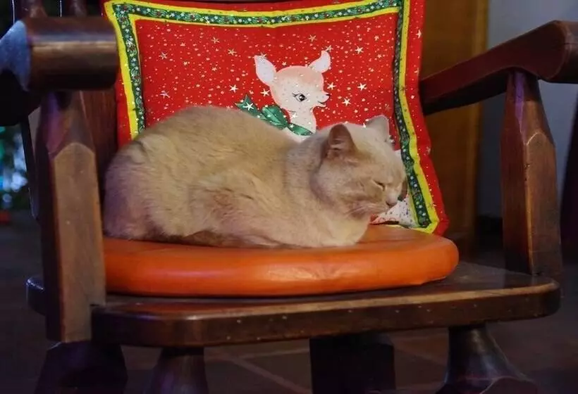 ホテル Casa Gloria En Villa De Leyva