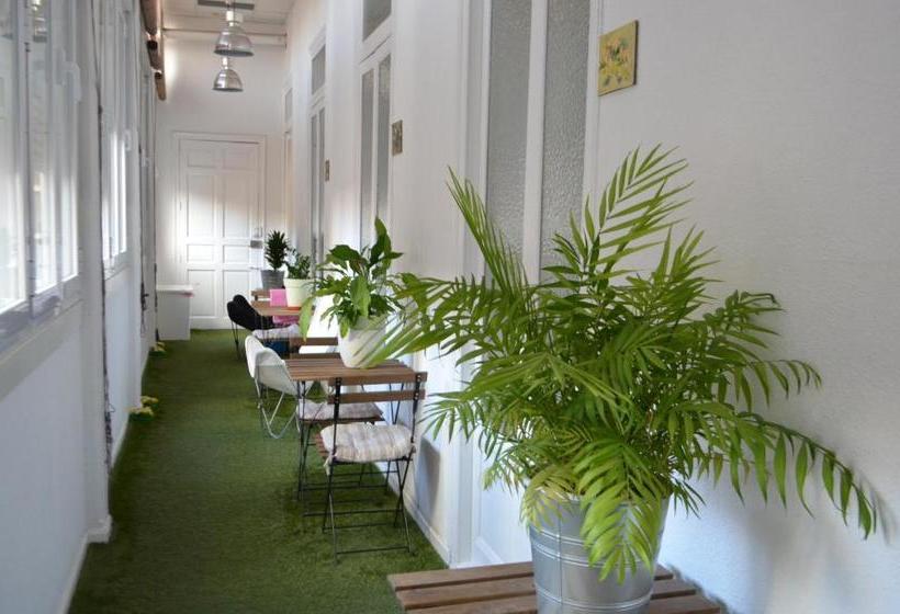 هاستل My City Home Residencia Estudiantes Madrid