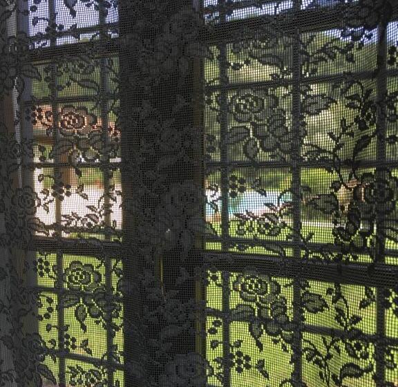 Casale La Fata Tipico Toscano Immerso Nelle Colline Tra Lucca E Versilia, 6 Appartamenti Indipenden