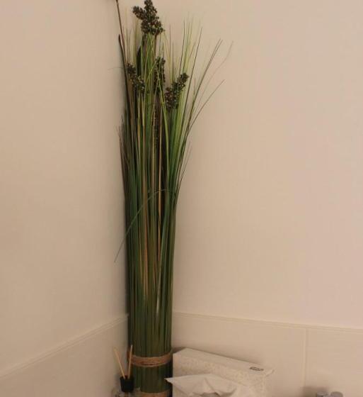 Hotel Dinoris Boutique