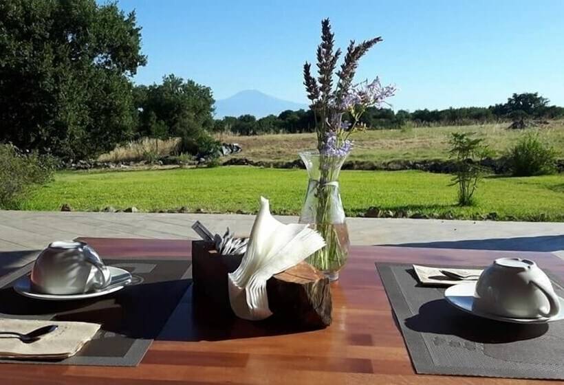 בית מלון כפרי Tenuta Sorìa