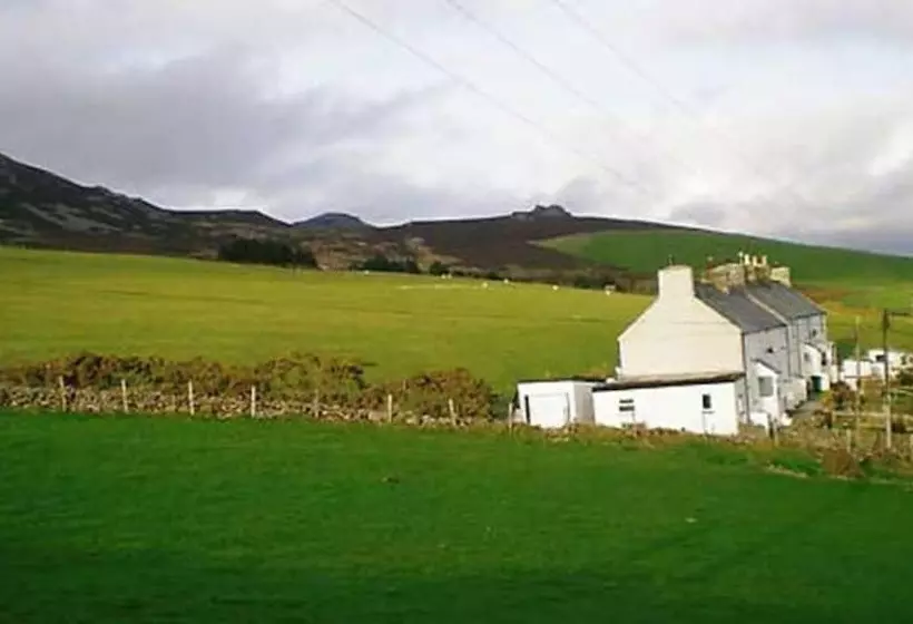 Camcyntaf
