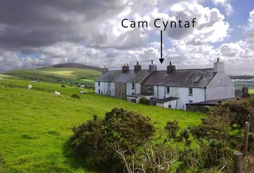 Camcyntaf