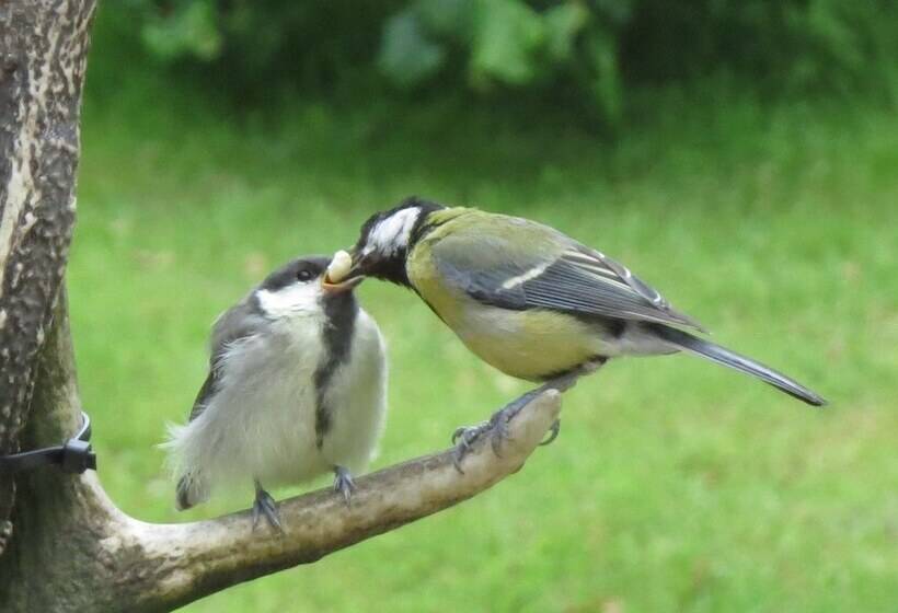 Crinan Canal Cottage No8, Kilmartin