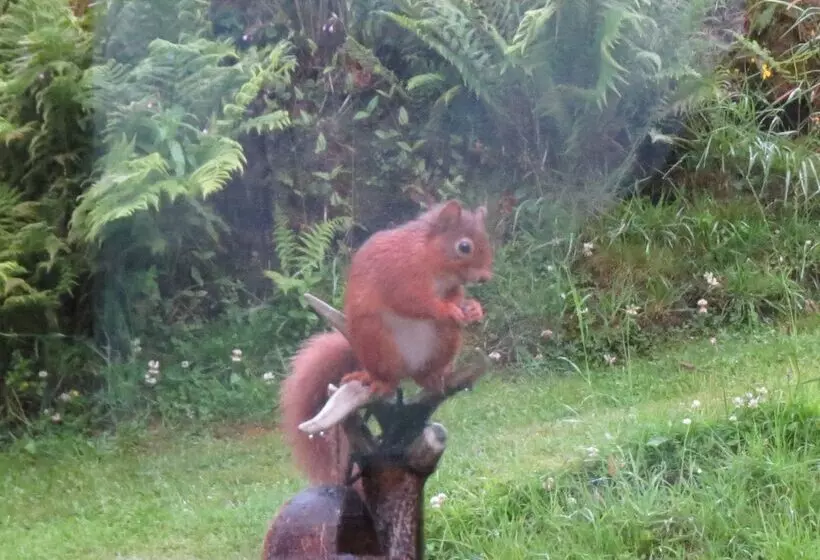 Crinan Canal Cottage No8, Kilmartin