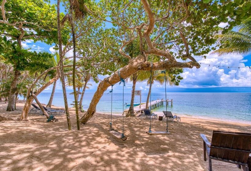 هتل Camp Bay Lodge