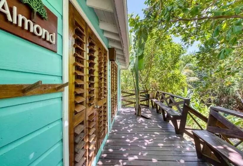 هتل Camp Bay Lodge