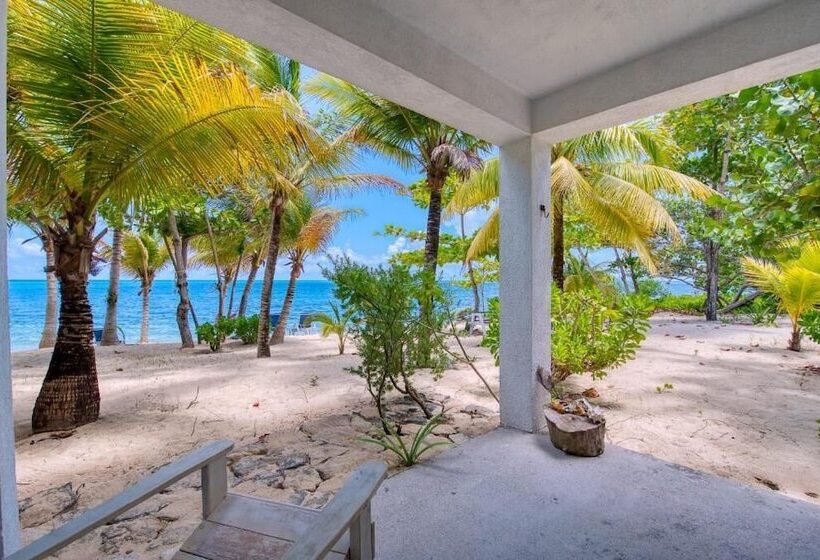 هتل Camp Bay Lodge