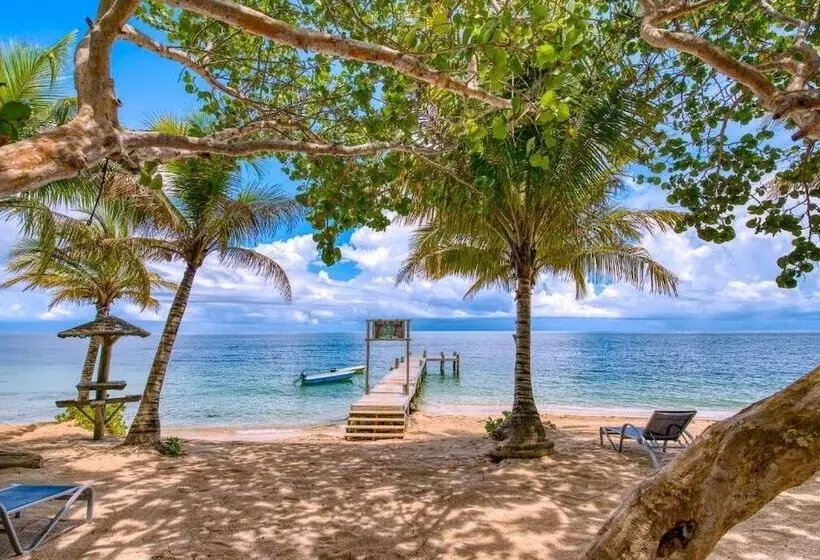 هتل Camp Bay Lodge