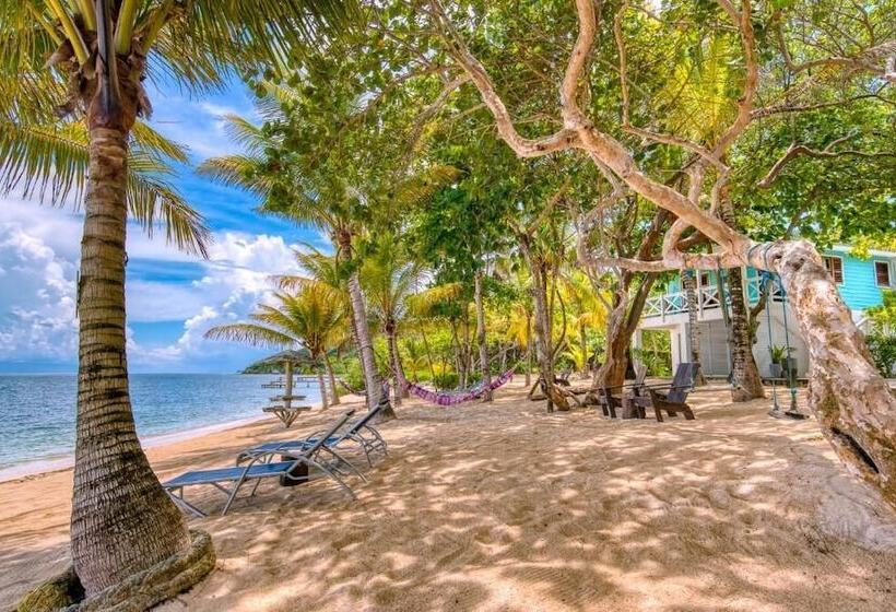 هتل Camp Bay Lodge