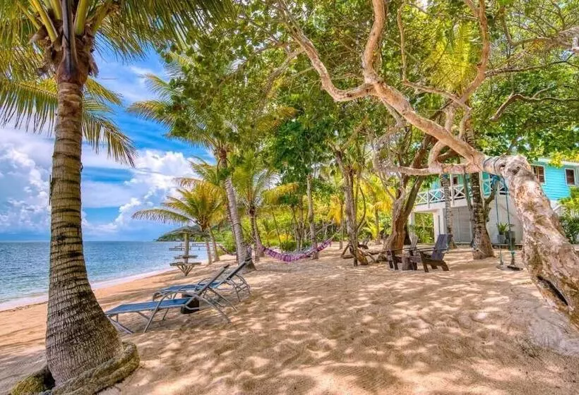 هتل Camp Bay Lodge