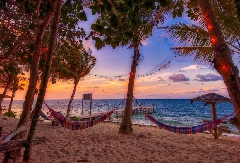 هتل Camp Bay Lodge