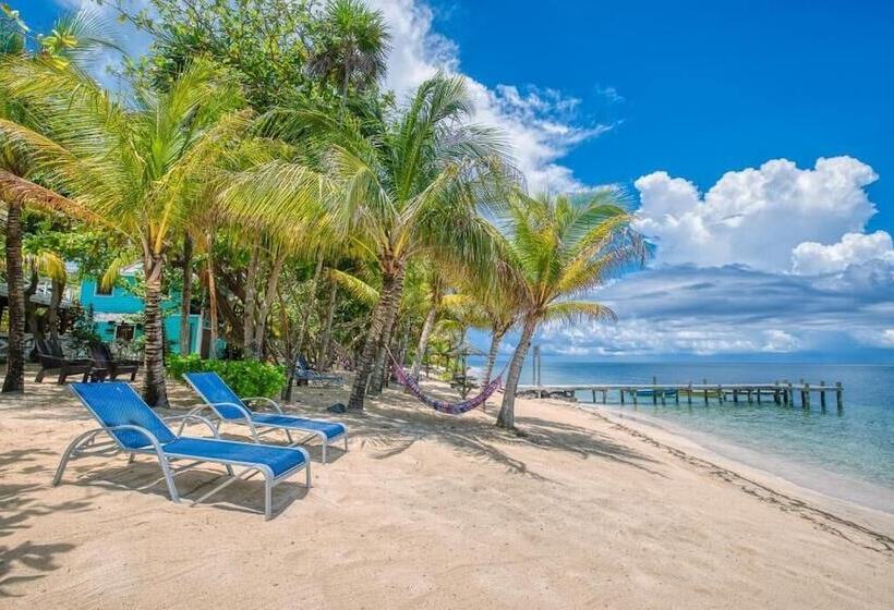 هتل Camp Bay Lodge