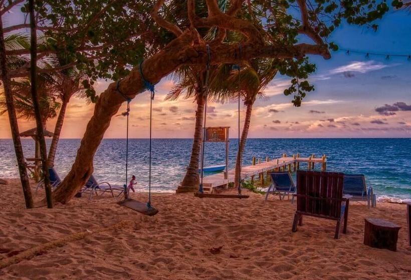 هتل Camp Bay Lodge