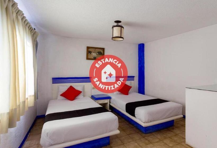 فندق La Morada Del Xolo Pet Friendly