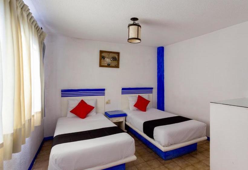 فندق La Morada Del Xolo Pet Friendly