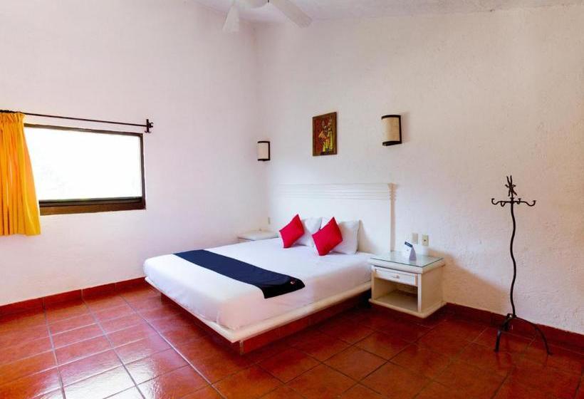 فندق La Morada Del Xolo Pet Friendly