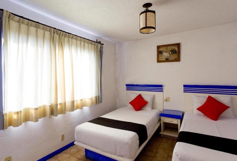 فندق La Morada Del Xolo Pet Friendly