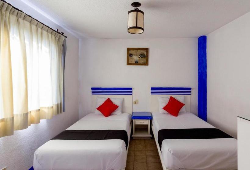 فندق La Morada Del Xolo Pet Friendly