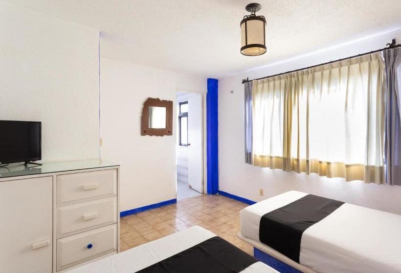 فندق La Morada Del Xolo Pet Friendly