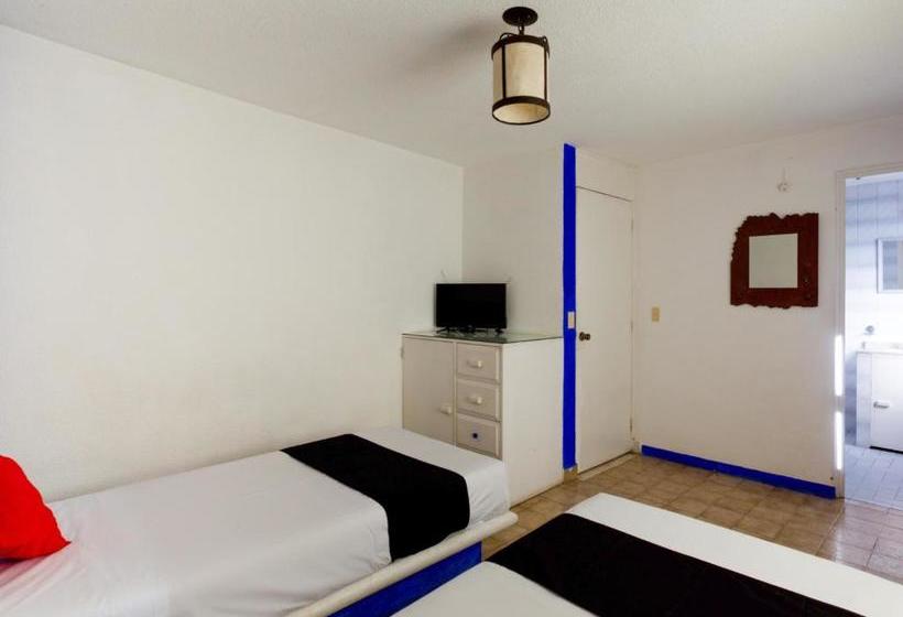 فندق La Morada Del Xolo Pet Friendly