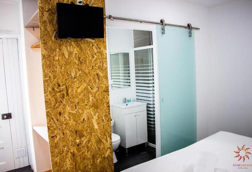 بنسيون Nine Senses