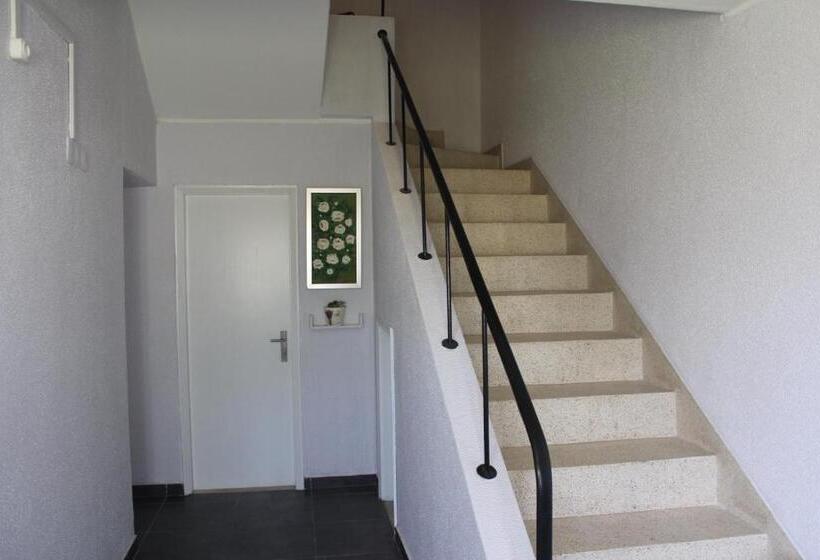 بنسيون Nine Senses