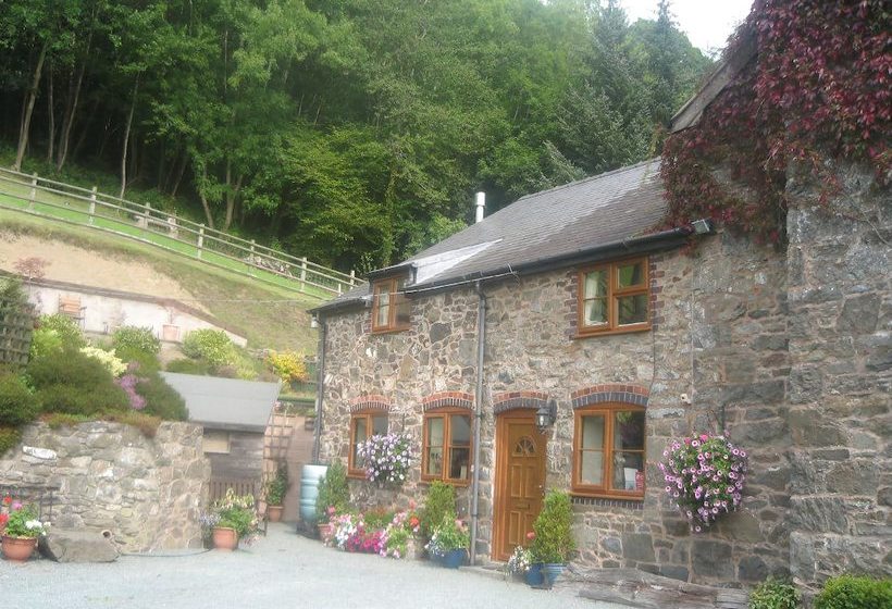 Tan Y Graig Bed & Breakfast