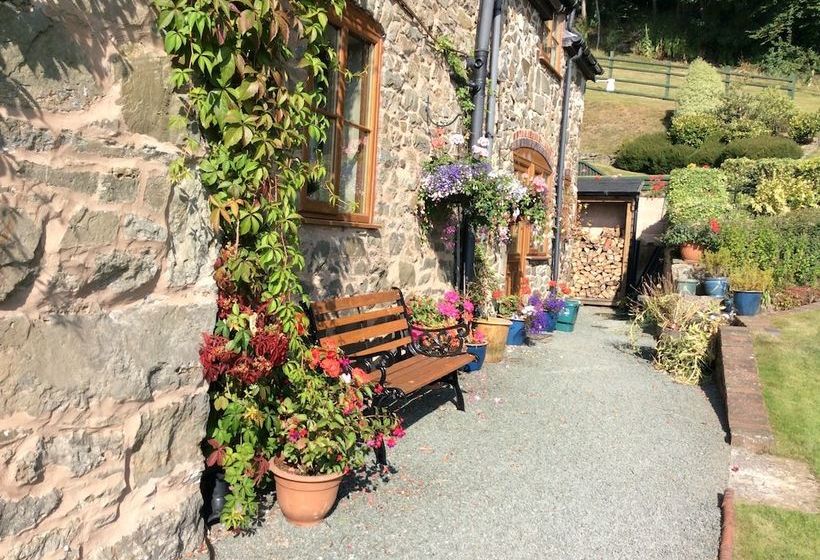 Tan Y Graig Bed & Breakfast