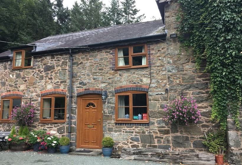 Tan Y Graig Bed & Breakfast