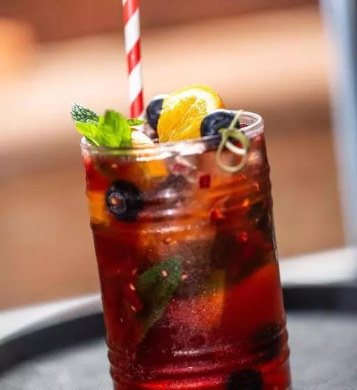 Hotelli Steinhaus 1718