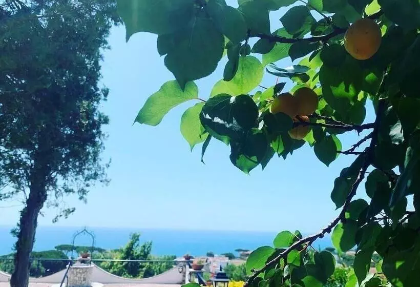 Aamiaismajoitus (B&B) Gli Archi Sul Mare