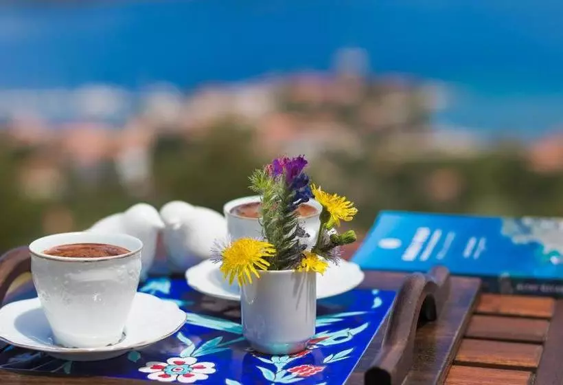 Aamiaismajoitus (B&B) Harmanyeri Tatilevi