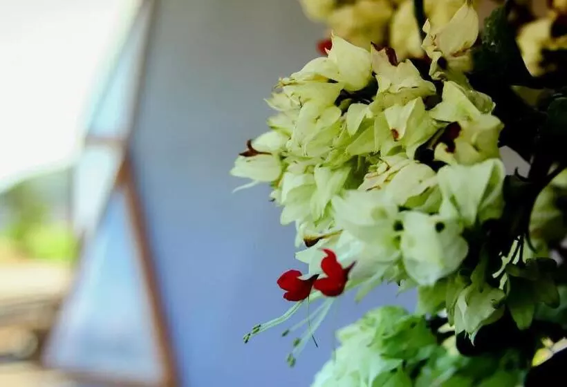 Hotelli Serrania Del Viento